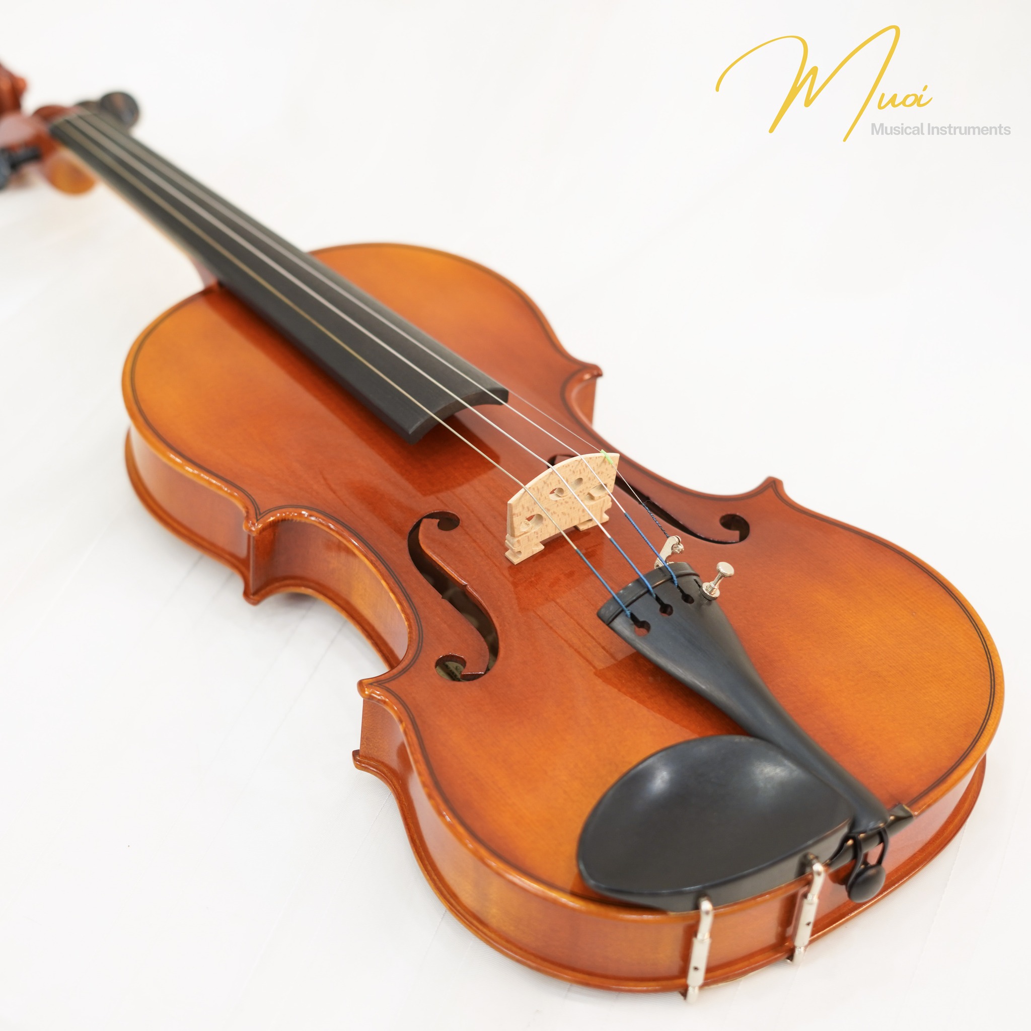 4 Lý Do Violin Suzuki – Nhật Bản Giúp Người Mới Không Bỏ Cuộc