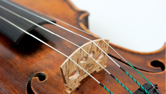 GIẢI MÃ NỖI ÁM ẢNH: VÌ SAO DÂY MI (DÂY E) CỦA VIOLIN LẠI DỄ ĐỨT NHẤT?