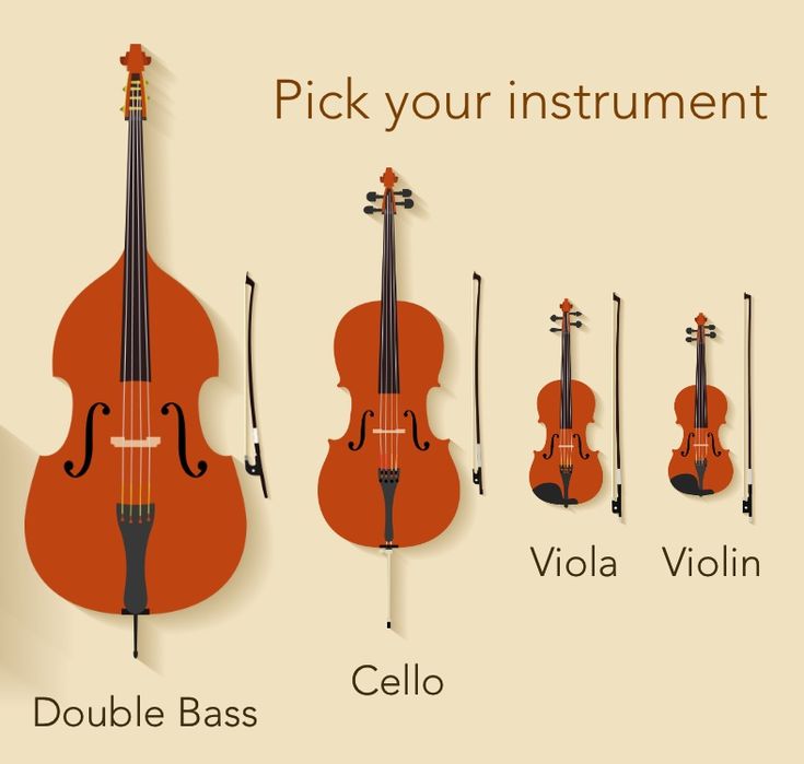PHÂN BIỆT VIOLIN, VIOLA, CELLO VÀ DOUBLE BASS: NHẬN DIỆN “GIA ĐÌNH HỌ VĨ CẦM” CỰC DỄ HIỂU
