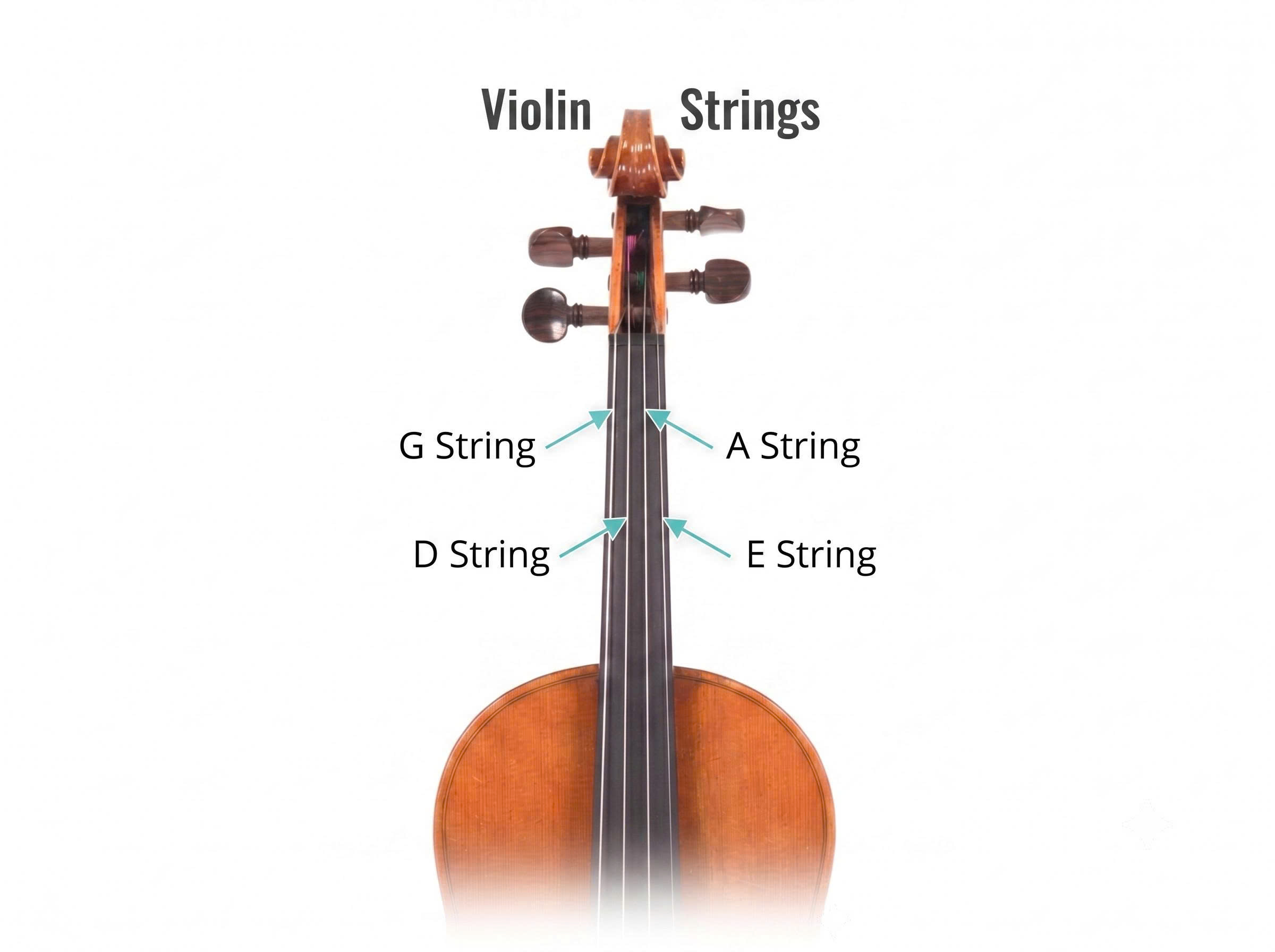 VÌ SAO ĐÀN VIOLIN CHỈ CÓ 4 DÂY VÀ CHÚNG ĐƯỢC LÊN NHỮNG NỐT GÌ?