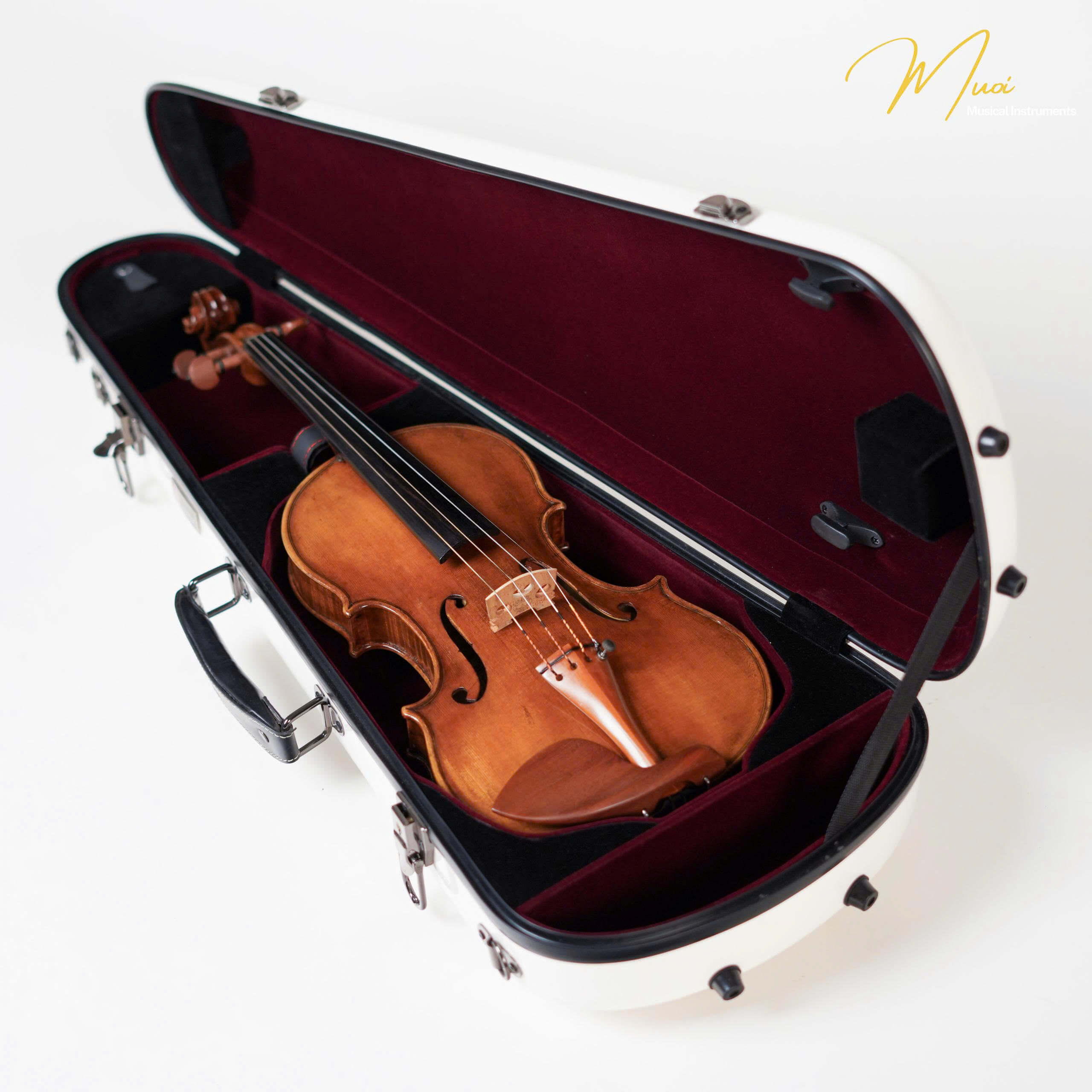 ĐÀN VIOLIN Ý AUGUSTUS POLLASTRI 1915 SIZE 4/4