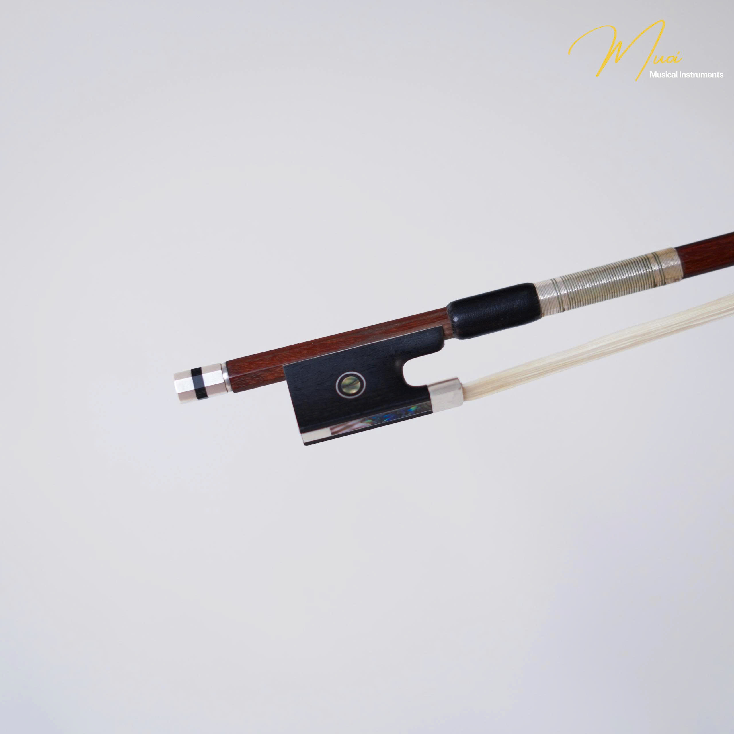 VĨ ĐÀN VIOLIN CAO CẤP ALFRED KNOLL: DI SẢN NƯỚC ĐỨC & UY LỰC ÂM THANH TUYỆT ĐỈNH