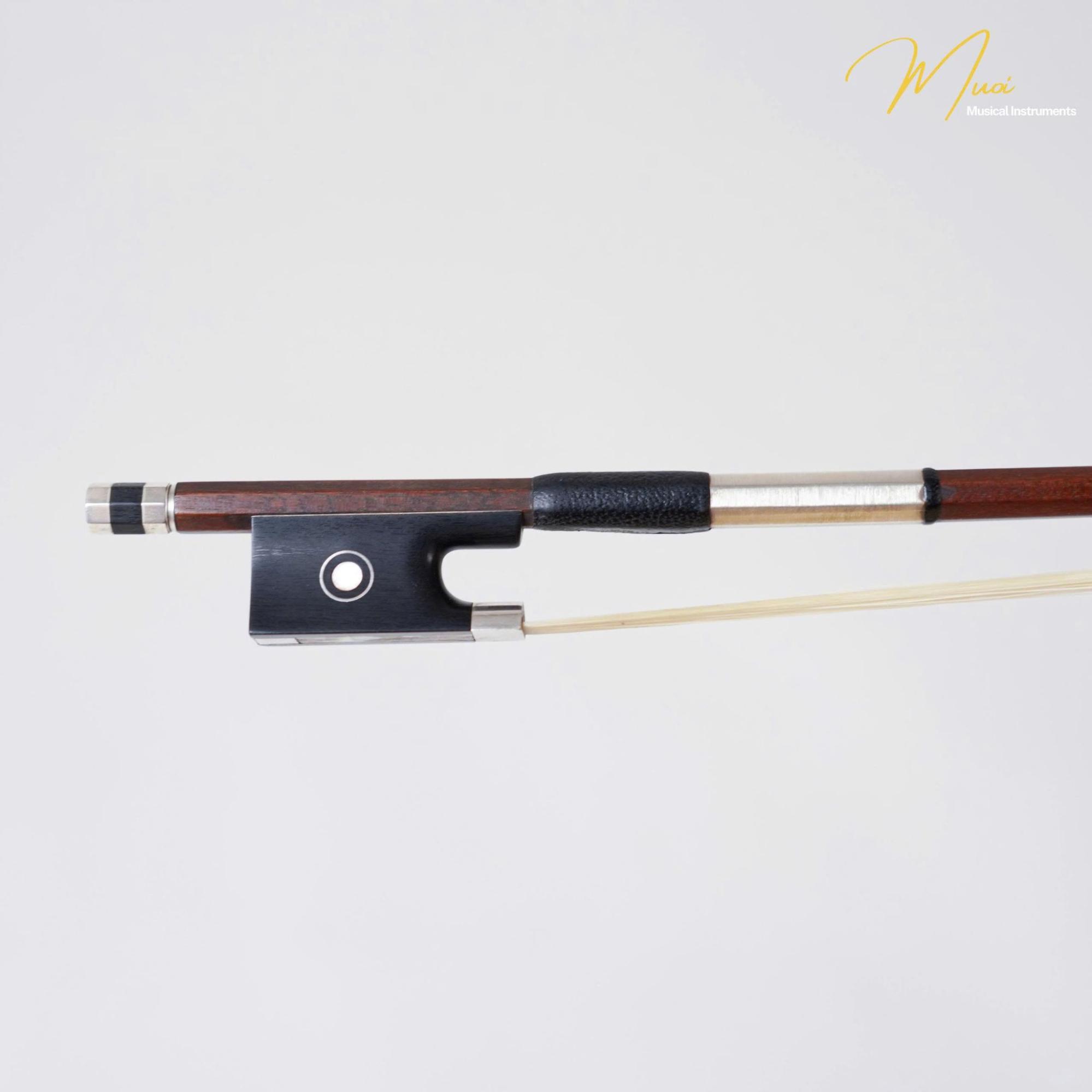 VĨ ĐÀN VIOLIN FINKEL THỤY SĨ: KIỆT TÁC NGHỆ THUẬT ĐÁNH THỨC “LINH HỒN” VĨ CẦM