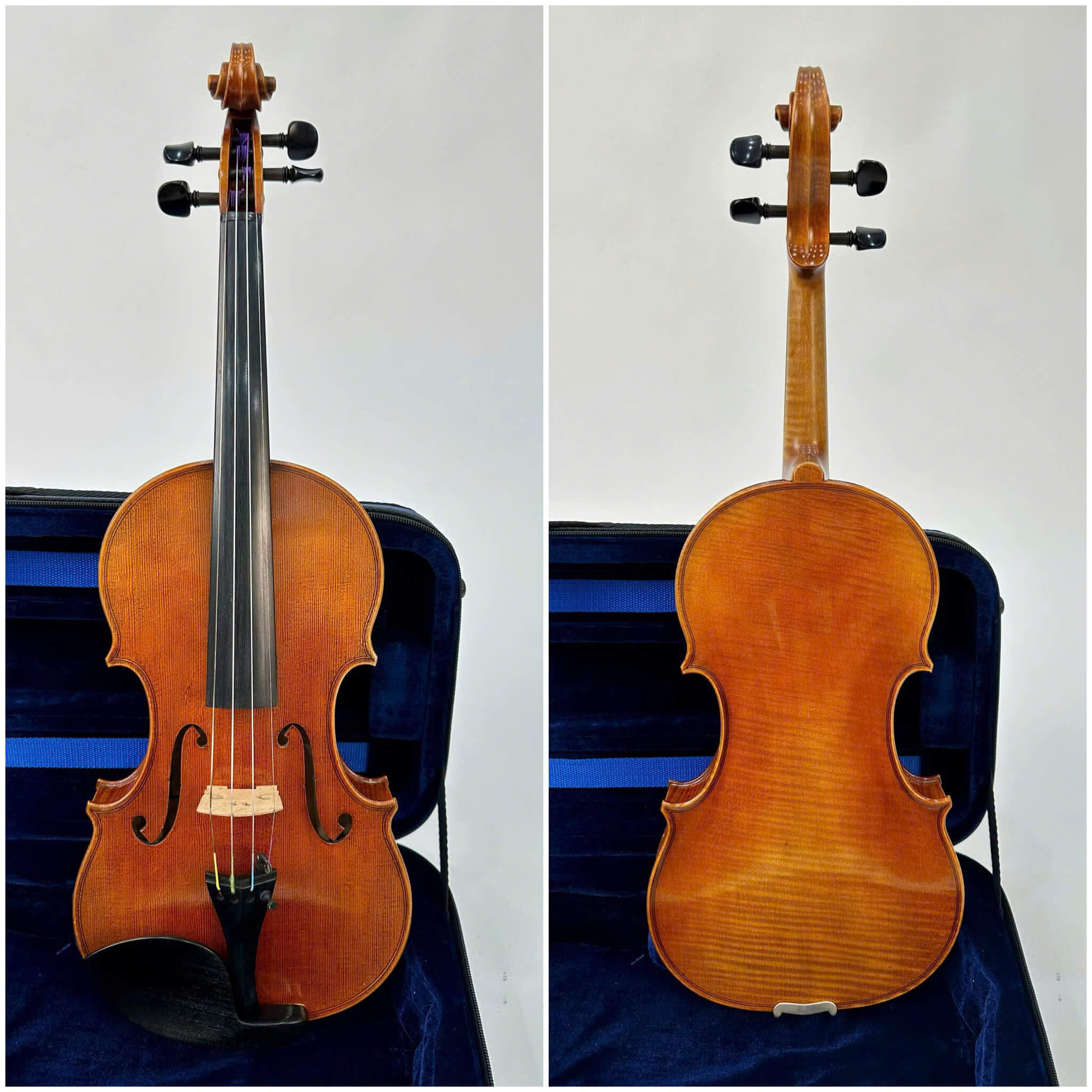 KHÁM PHÁ ĐÀN VIOLIN ĐỨC: SỰ CHUẨN XÁC, BỀN BỈ VÀ CHẤT ÂM VƯỢT THỜI GIAN