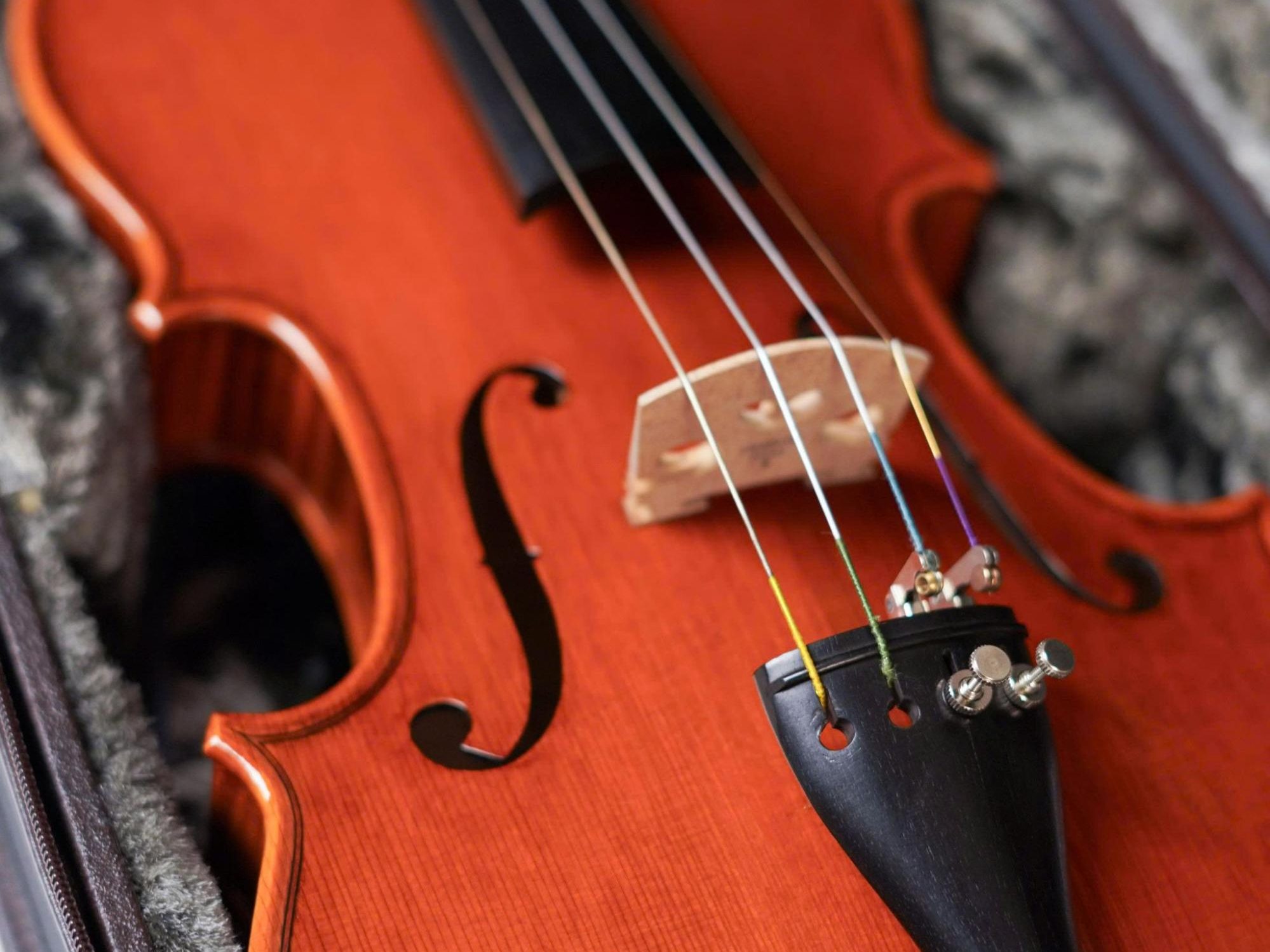 SỨC HÚT CỦA ĐÀN VIOLIN NHẬT BẢN CŨ: CHẤT ÂM VƯỢT THỜI GIAN
