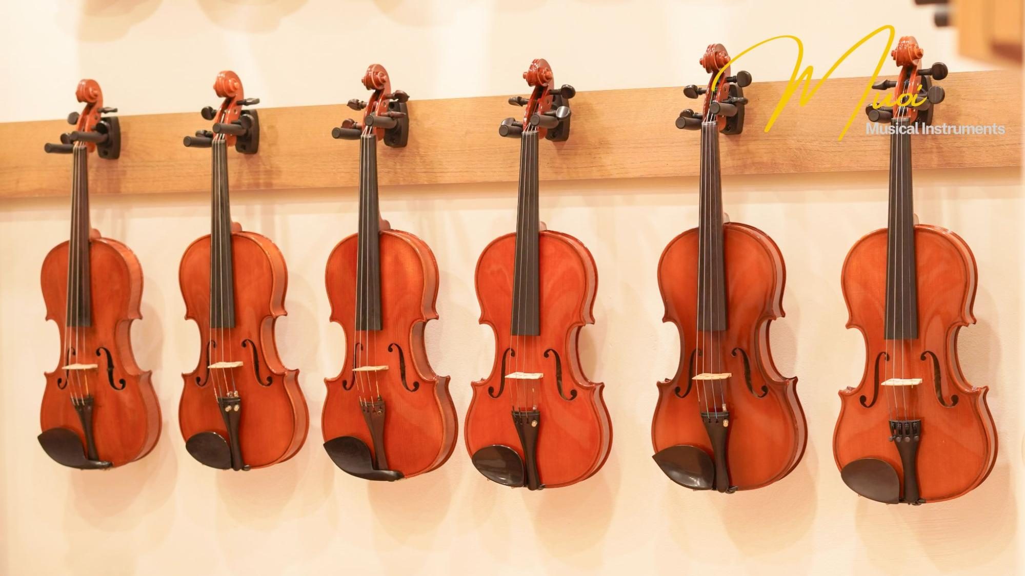 ĐÀN VIOLIN SUZUKI NHẬT BẢN: HÀNH TRÌNH ÂM THANH TỪ KHỞI ĐẦU ĐẾN CHUYÊN NGHIỆP