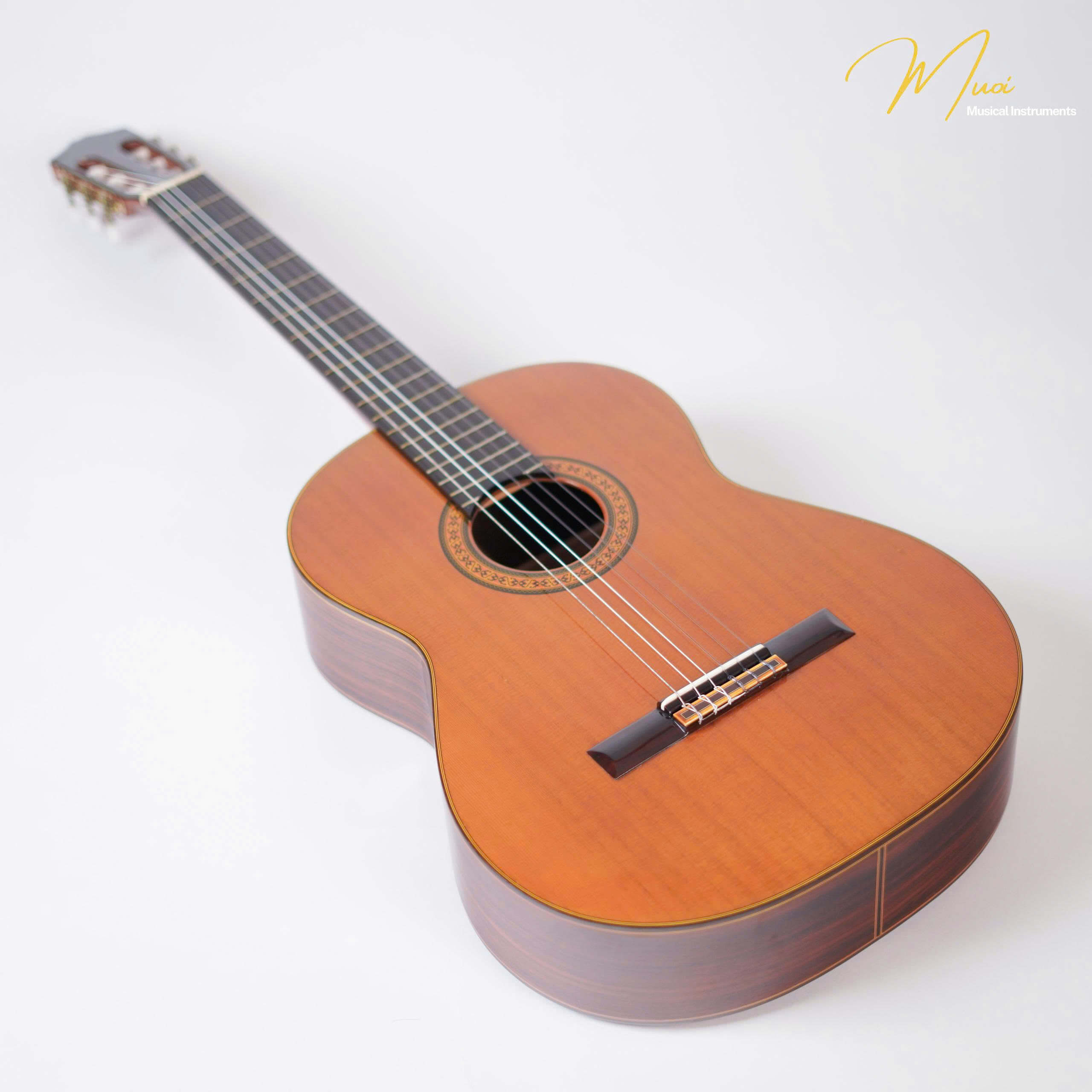 ĐÀN GUITAR CLASSIC FERNANDES GC40